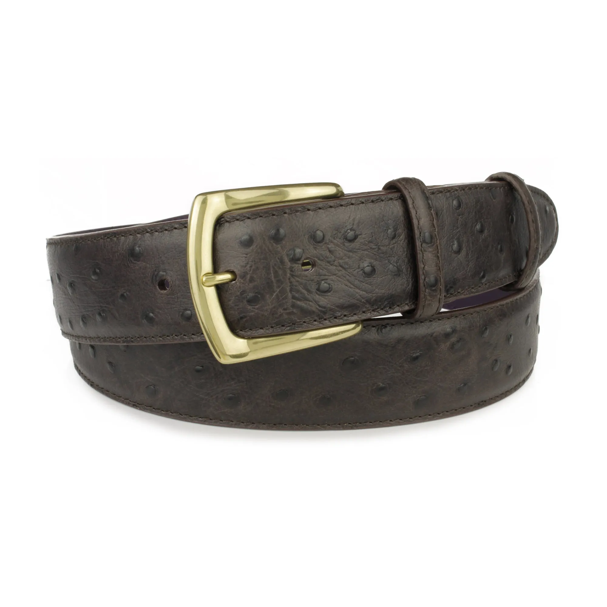 Dark choc mock ostrich quill belt with classic gold buckle