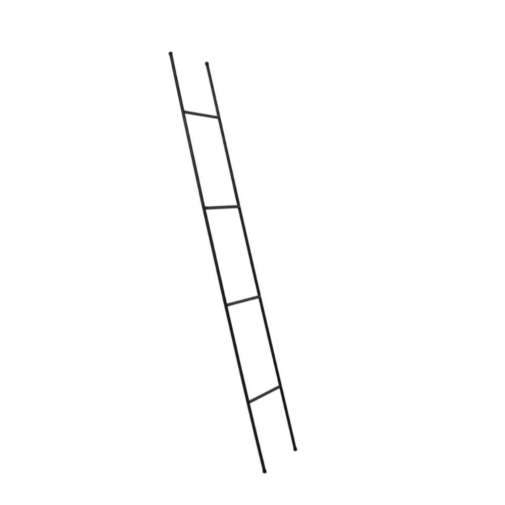 Kristian Ladder