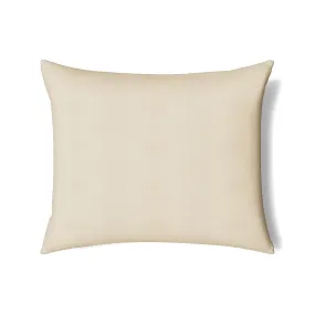 Vector Pillow